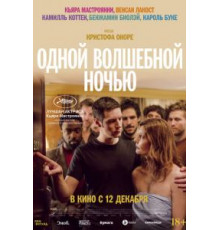 Одной волшебной ночью (2019)