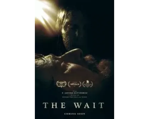 Ожидание  (фильм 2023) смотреть онлайн