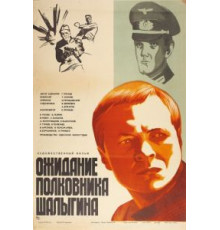Ожидание полковника Шалыгина (1981)
