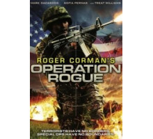 Операция «Возмездие» (2014)