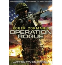 Операция «Возмездие» (2014)