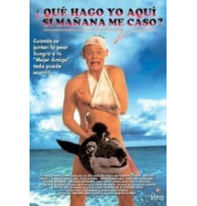 Особенности холостяцкой вечеринки (1994)