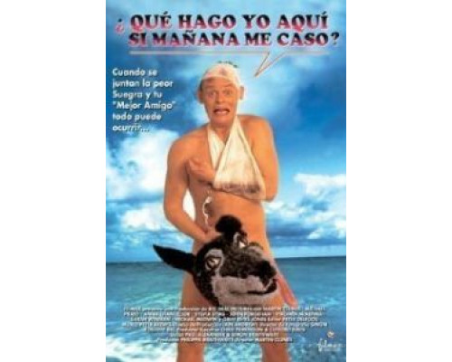 Особенности холостяцкой вечеринки  (фильм 1994) смотреть онлайн