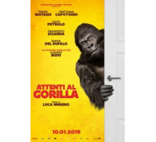 Осторожно, злая горилла! (2019)