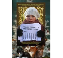 Отдам котят в хорошие руки (2012)