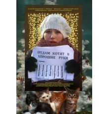 Отдам котят в хорошие руки (2012)