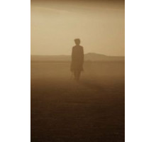 Отголоски (2014)