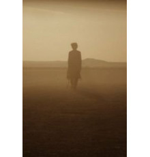 Отголоски (2014)