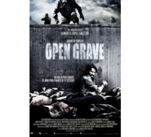 Открытая могила (2013)