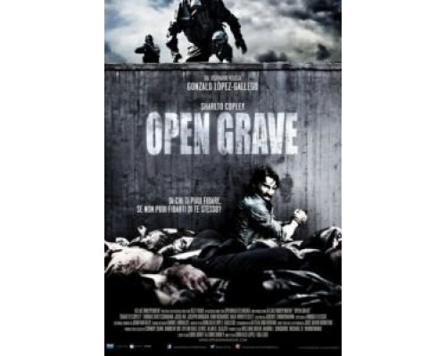 Открытая могила  (фильм 2013) смотреть онлайн
