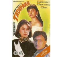 Отверженный (1993)
