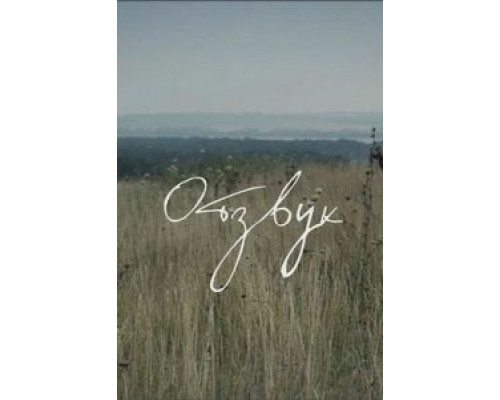 Отзвук  (фильм 2015) смотреть онлайн