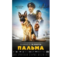 Пальма (2020)