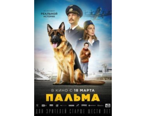 Пальма  (фильм 2020) смотреть онлайн