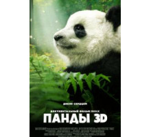 Панды 3D (2018)