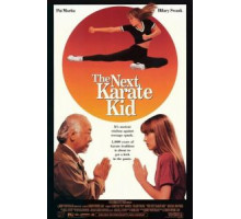 Парень-каратист 4 (1994)