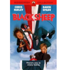Паршивая овца (1996)