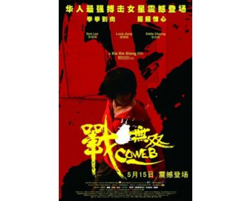 Паутина лжи  (фильм 2009) смотреть онлайн