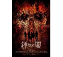 Переплетающиеся души (2019)