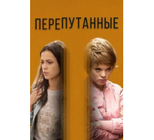 Перепутанные наследники (1993)