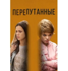 Перепутанные наследники (1993)