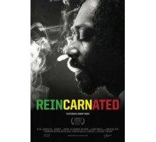 Перевоплощённый (2012)