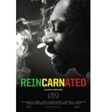 Перевоплощённый (2012)