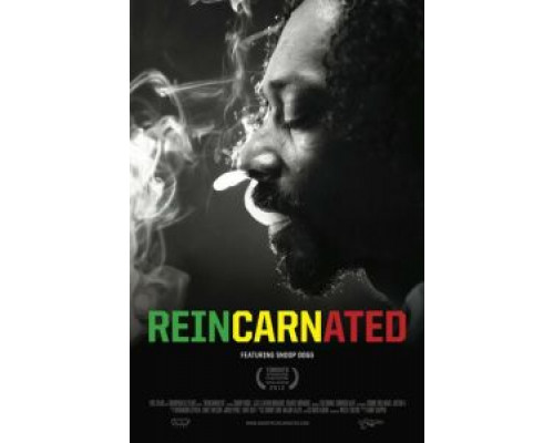 Перевоплощённый  (фильм 2012) смотреть онлайн