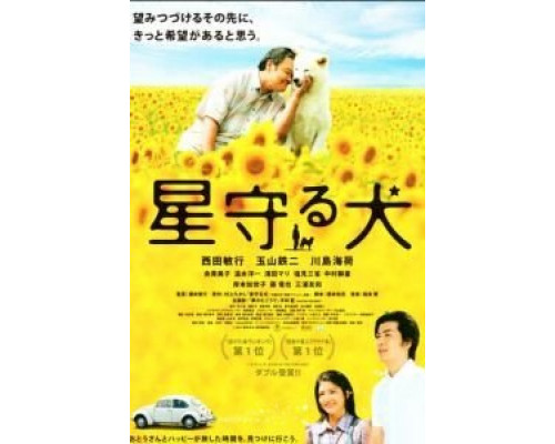 Пёс, смотрящий на звезды  (фильм 2011) смотреть онлайн