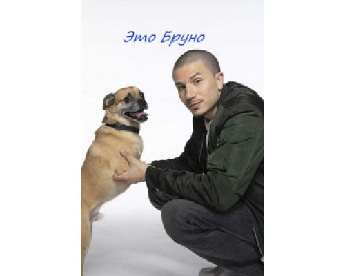 План Б  (фильм 2009) смотреть онлайн