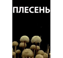 Плесень (2009)