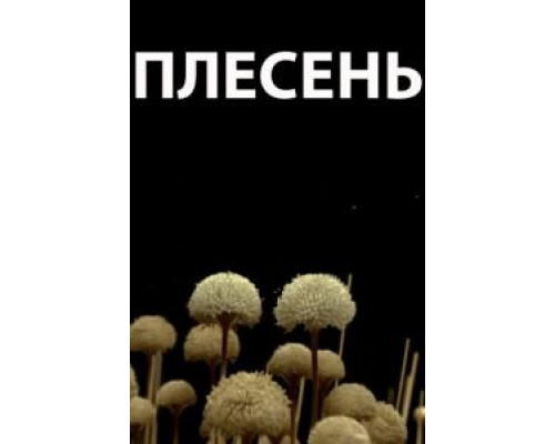 Плесень  (фильм 2009) смотреть онлайн