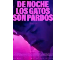 По ночам все кошки черные (2022)