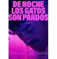 По ночам все кошки черные (2022)