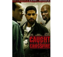 Под перекрестным огнем (2010)