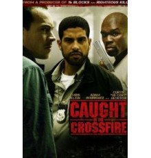Под перекрестным огнем (2010)