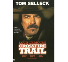 Под перекрестным огнем (2001)