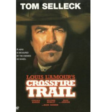 Под перекрестным огнем (2001)