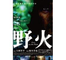 Пожары на равнинах (2014)