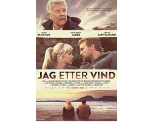 Погоня за ветром  (фильм 2013) смотреть онлайн