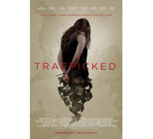 Похищены и проданы (2017)