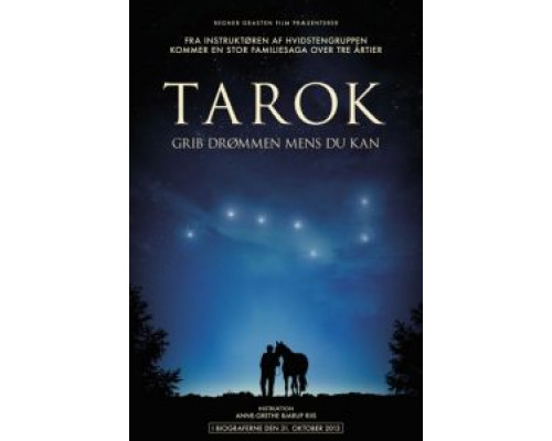 Поймать мечту  (фильм 2013) смотреть онлайн