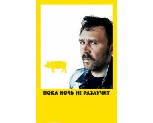 Пока ночь не разлучит  (фильм 2012) смотреть онлайн