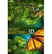 Полет бабочки 3D (2012)