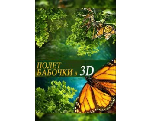 Полет бабочки 3D  (фильм 2012) смотреть онлайн