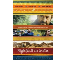 Полночь в Индии (2014)