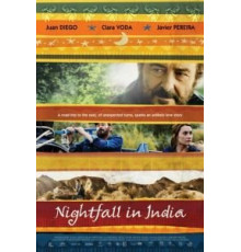 Полночь в Индии (2014)