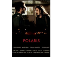 Полярная звезда (2016)