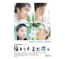 После бури (2016)