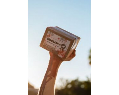 Посылка  (фильм 2019) смотреть онлайн